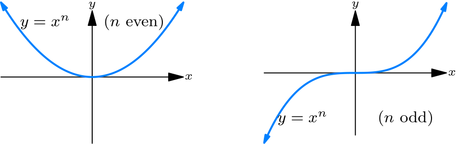 Graphs of power functions y = x^n